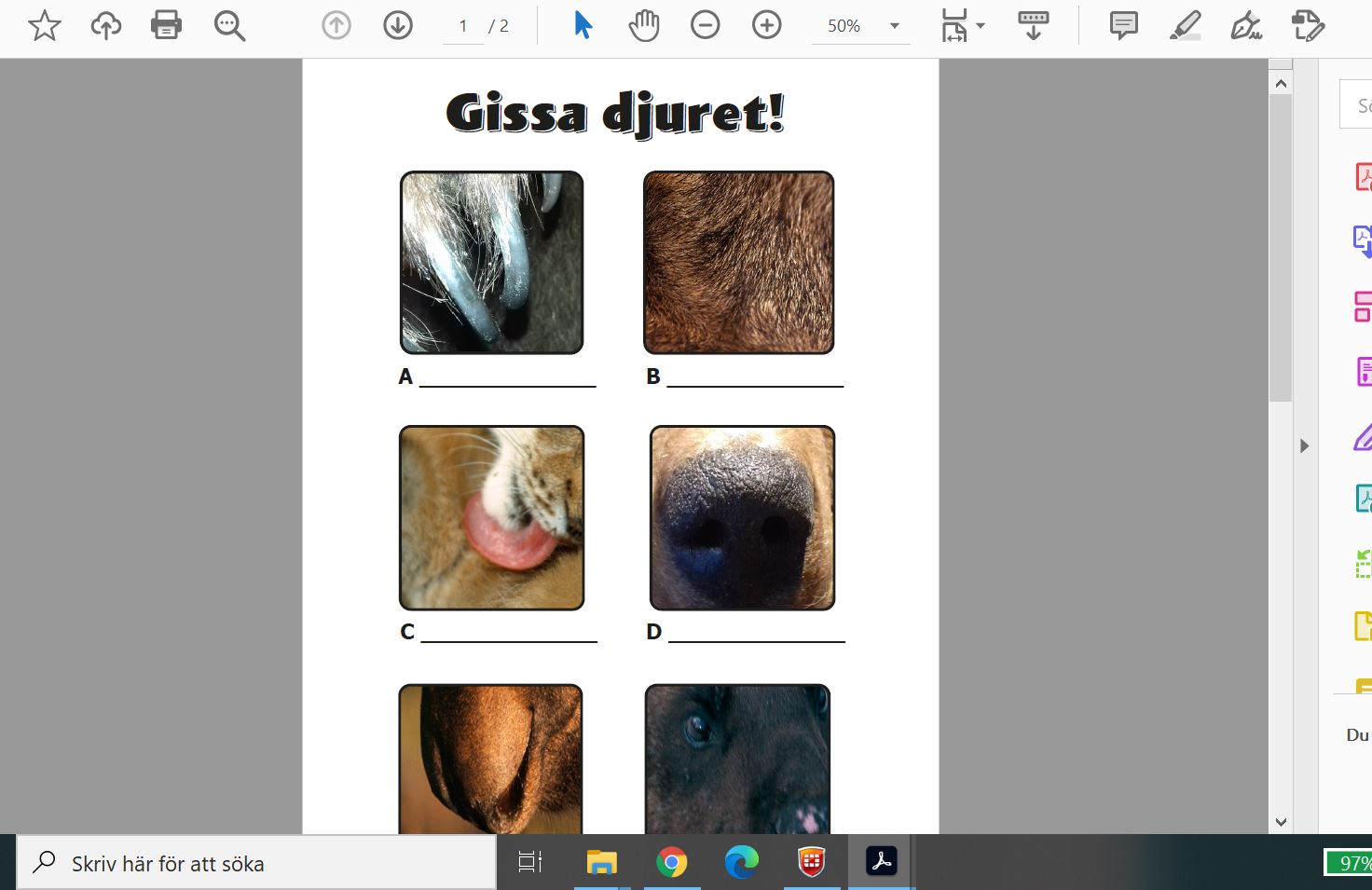 Gissa djuret