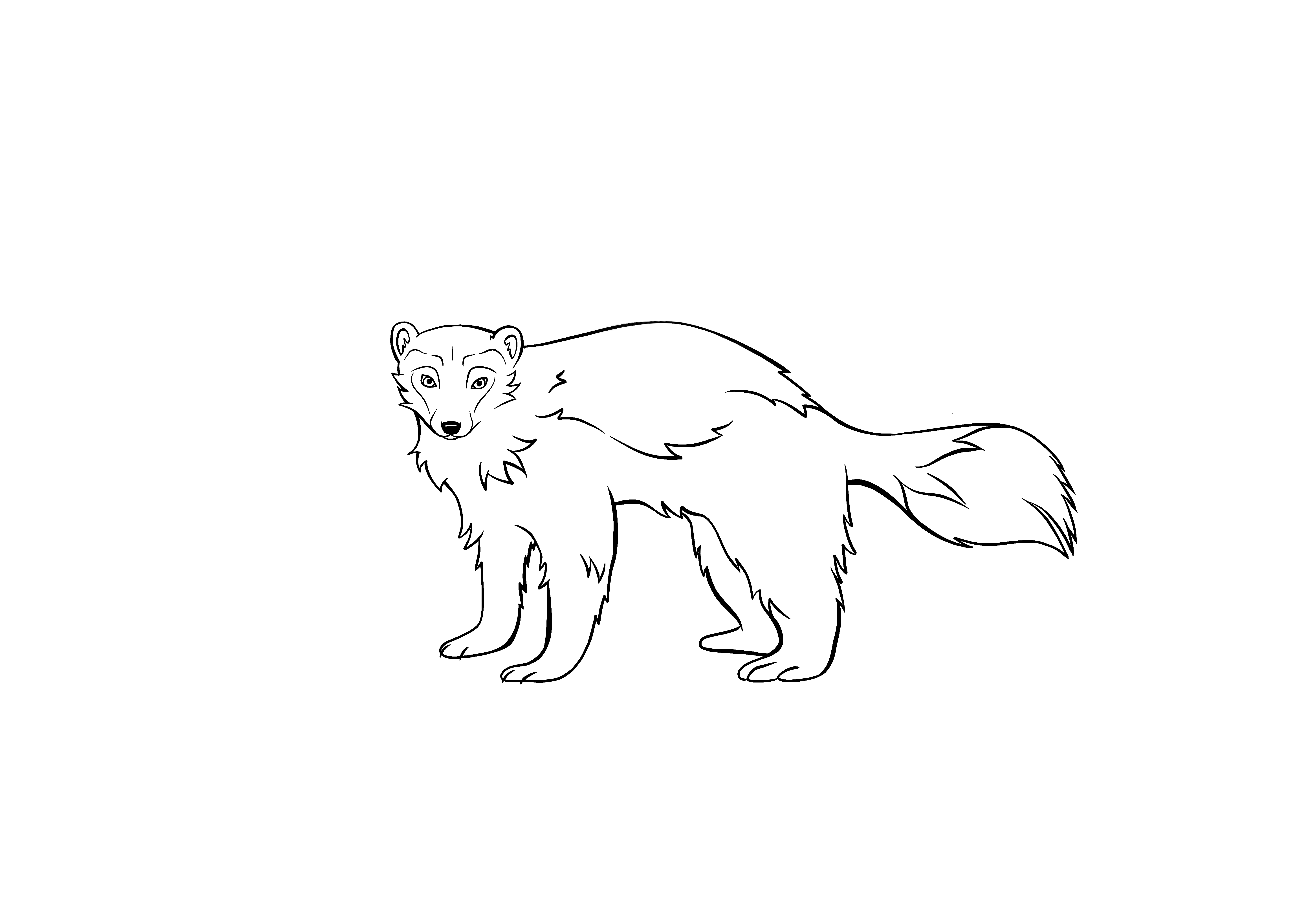 Järvfärglägga