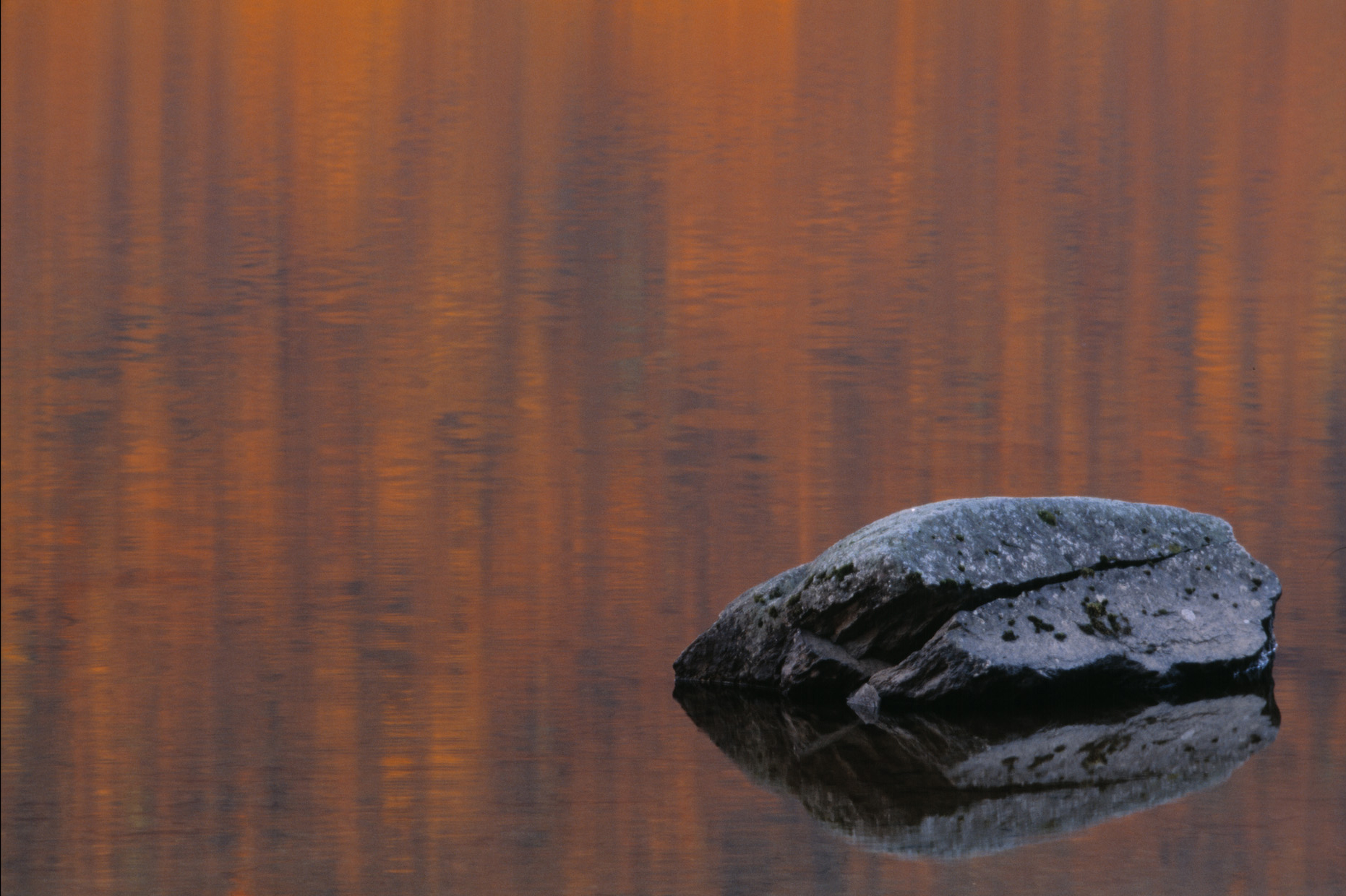 Sten i vatten -  © Staffan Widstrand