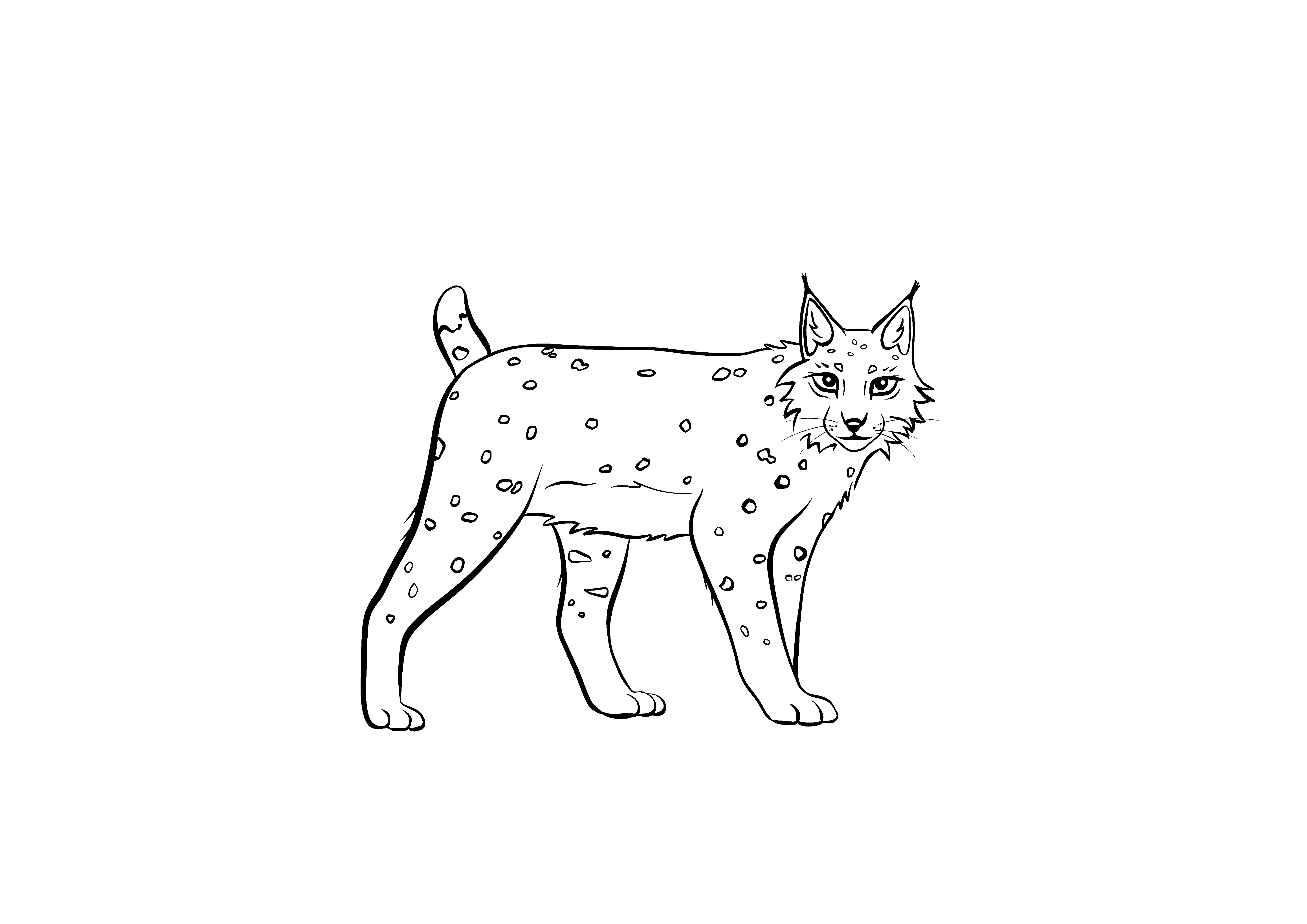 Lodjurfärglägga