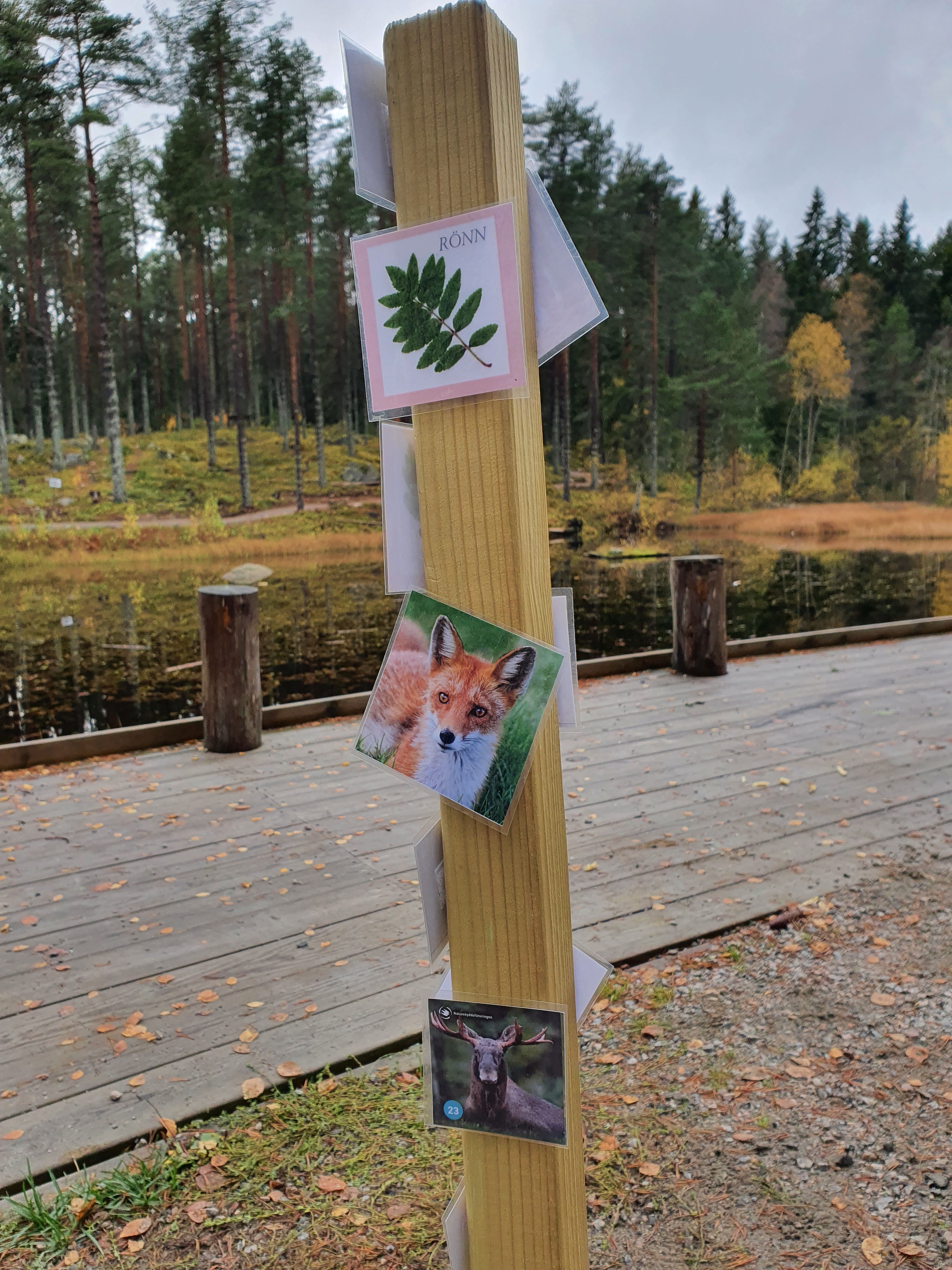 Djur på pinne