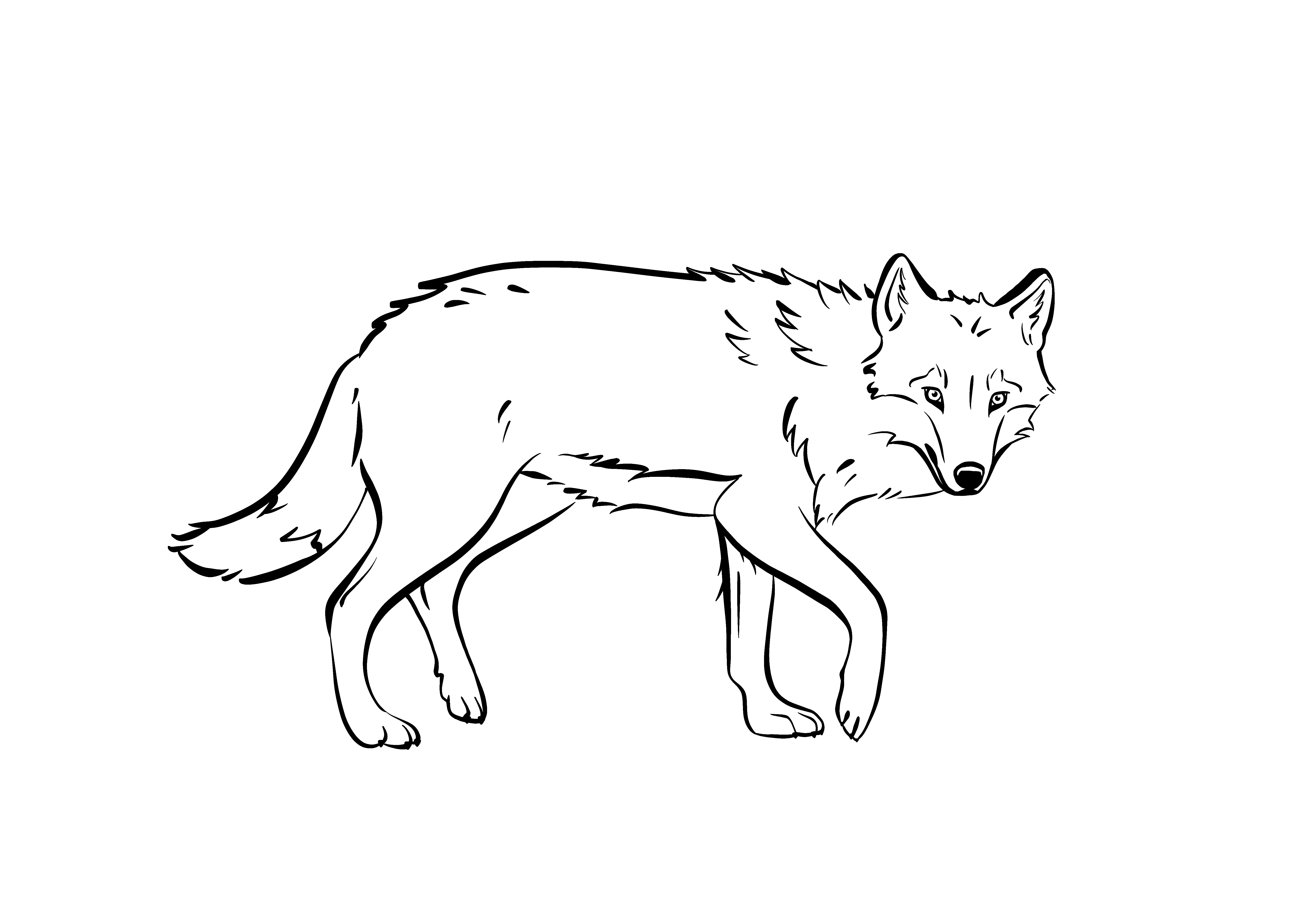 Vargfärglägga