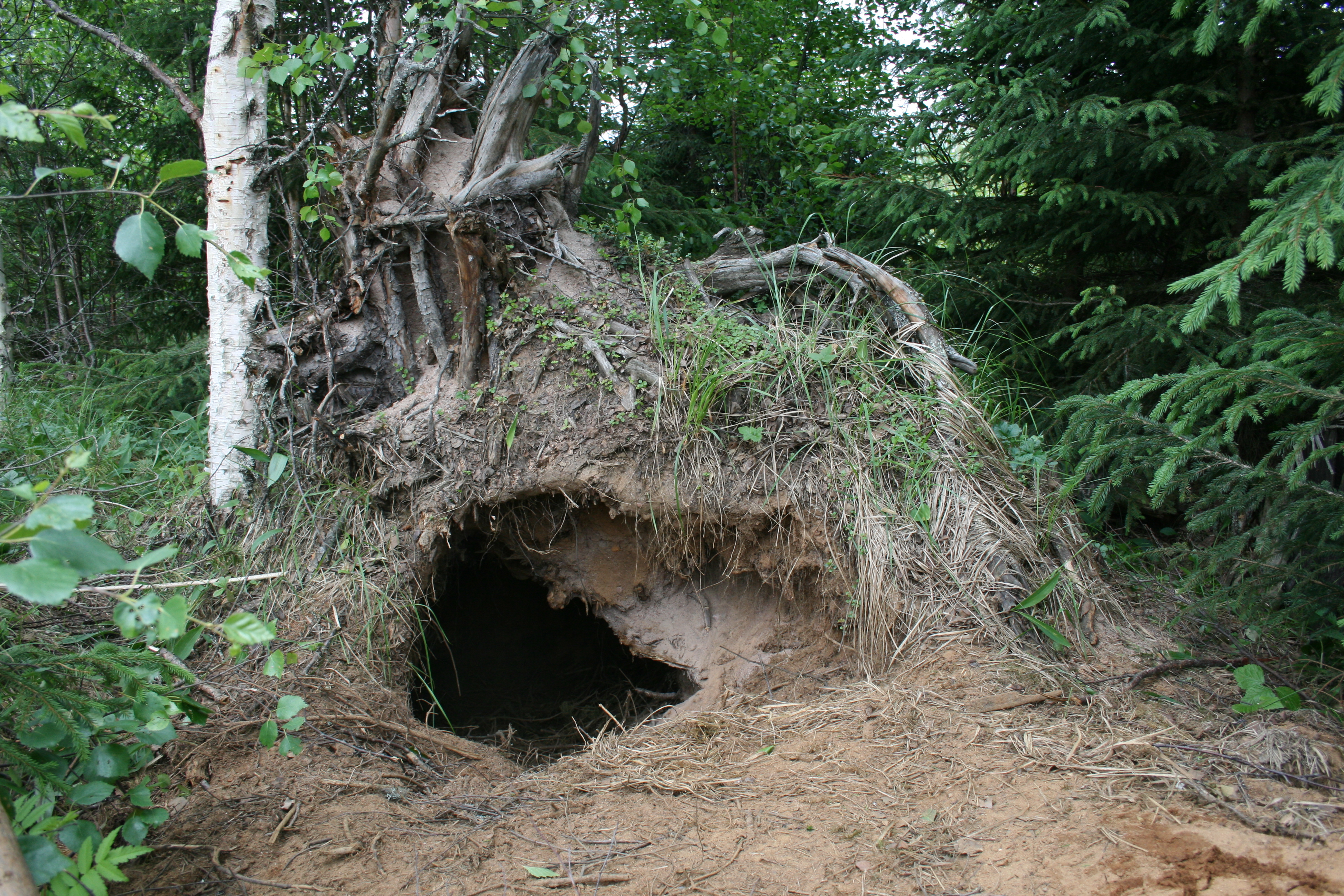 Jordide under stubbe